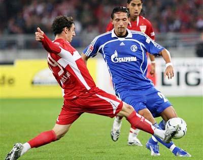 不仅属于霍 不仅属于霍