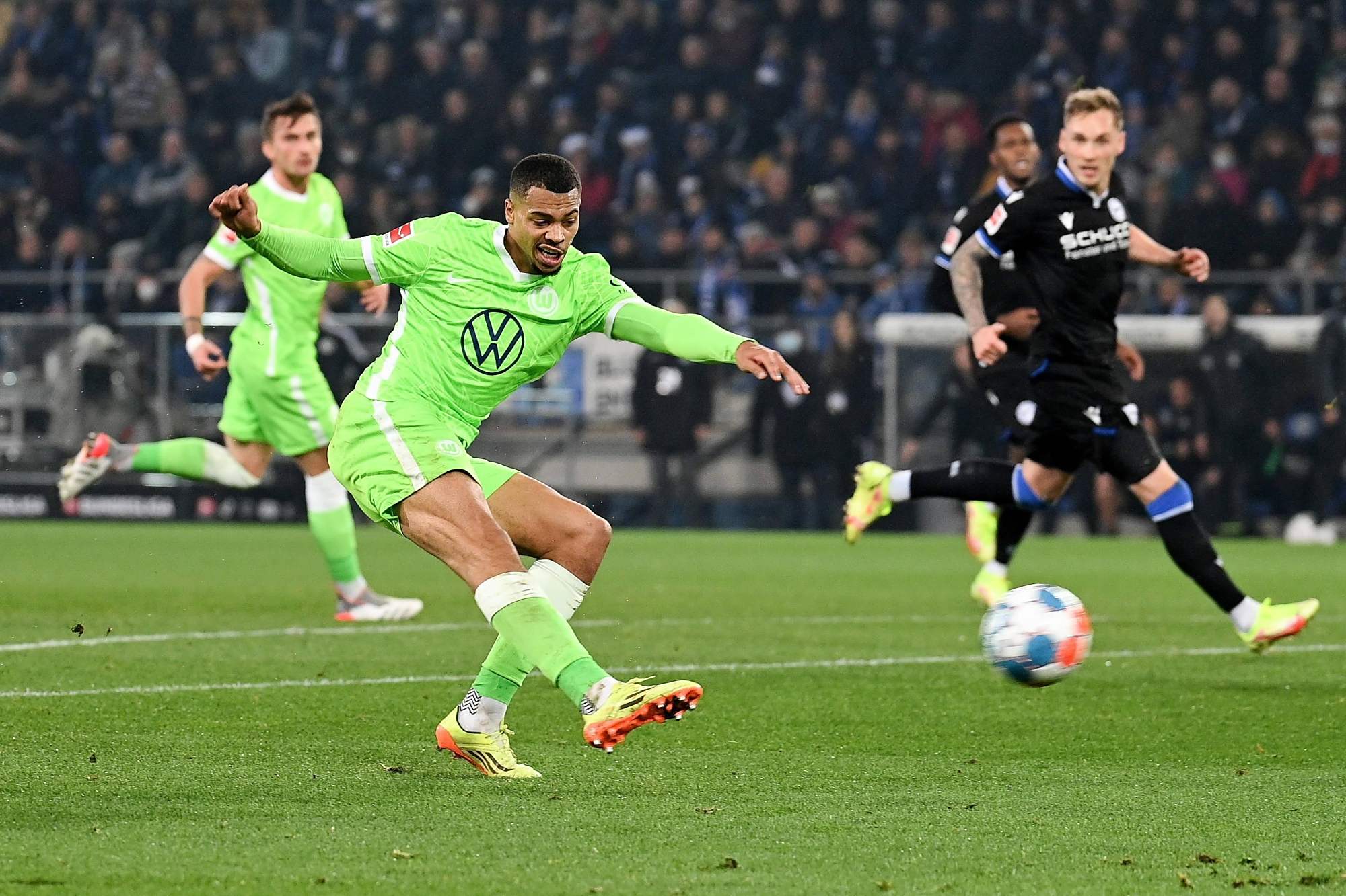 引进的这位 引进的这位