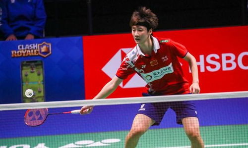 赛场与规则 赛场与规则